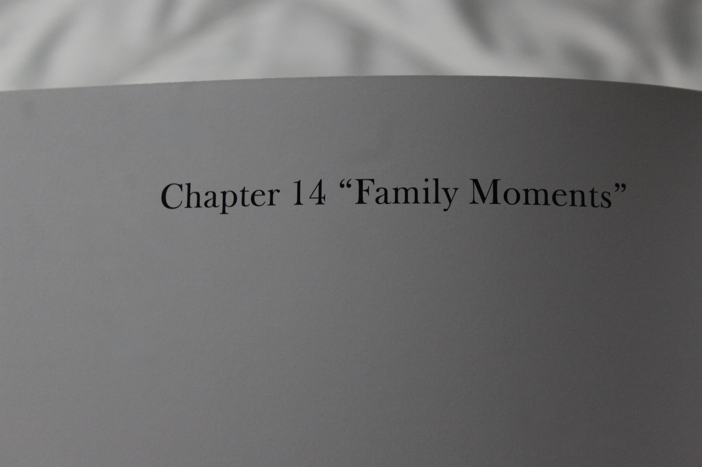 2025 Memories